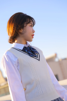 雏菊